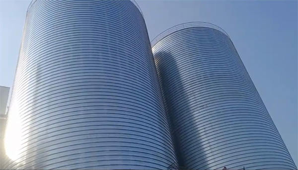 武侯2座混凝土高架卷板仓